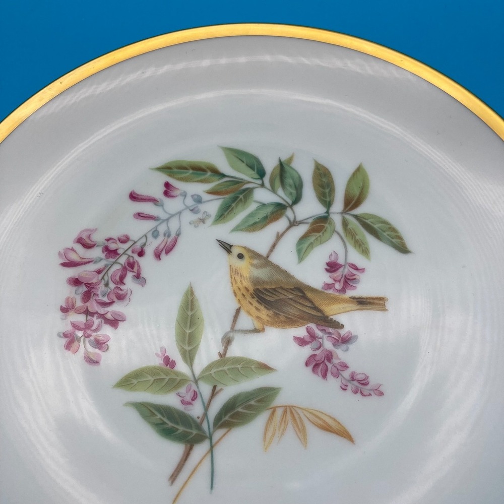 RARE Pre-War Hutschenreuther Selb Audubon Bird Plates - Set of 6 - Circa 1930s - Picture 5 of 9